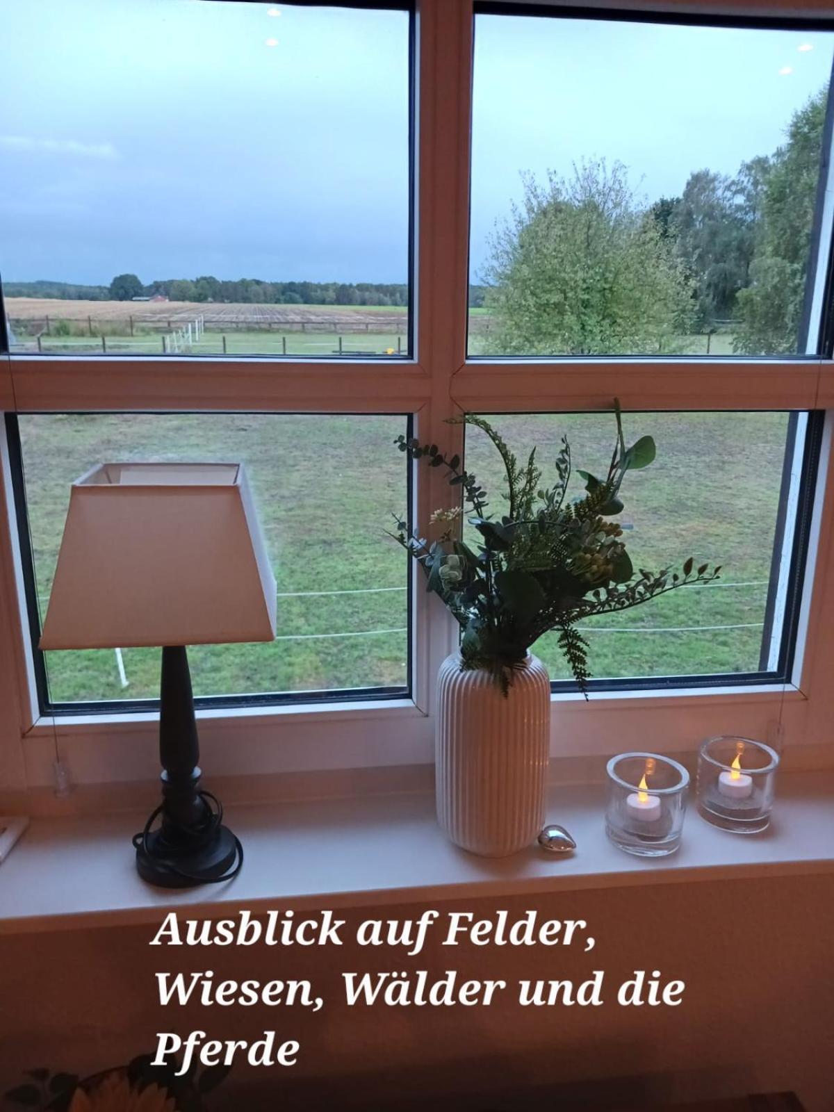 Landidylle Mit Garten, Whirlpool Und Klima Reken Exterior photo